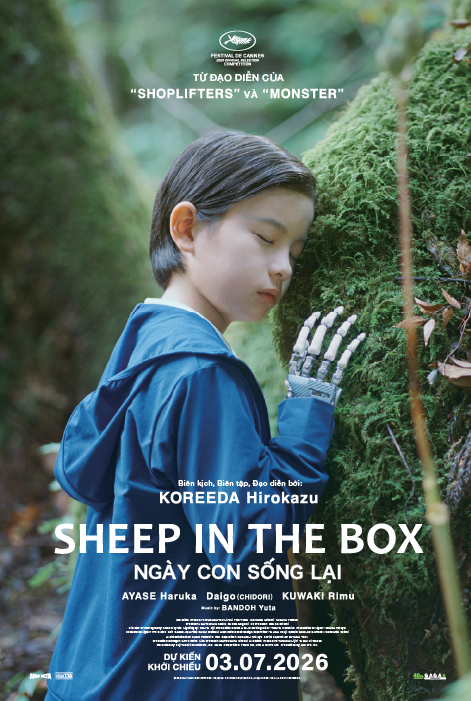 SHEEP IN THE BOX: NGÀY CON SỐNG LẠI